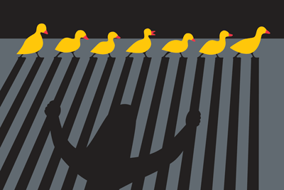 This Driver Stopped to Help Ducks Cross a Road—and Caused a Fatal Car Crash