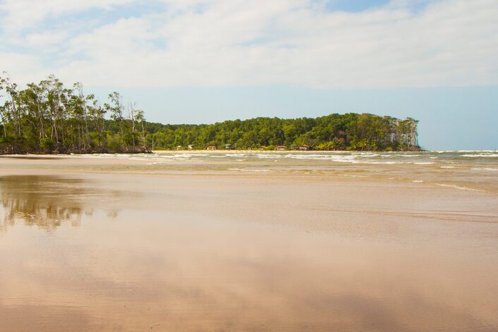 Reflection of mangrove trees in Barra Velha beach, by the Amazon river mouth, in Soure, Marajo island, Brazil.