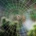 14 of the Most Beautiful Spider Webs Ever Found in Nature