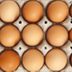 Why Are Brown Eggs More Expensive Than White Eggs?