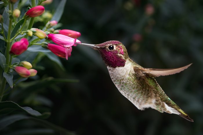 60 Fun Facts About Animals You Probably Didn’t Know Before