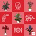 15 Tall Indoor Plants to Add to Your Home