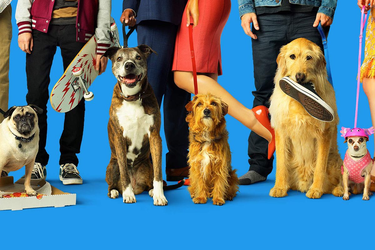 Dog Days Movie 
