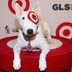 Who Is Bullseye? Everything You Need to Know About the Target Mascot