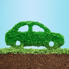 Green car shape created with moss rests on soil, set against a blue background, symbolizing eco-friendly transportation.