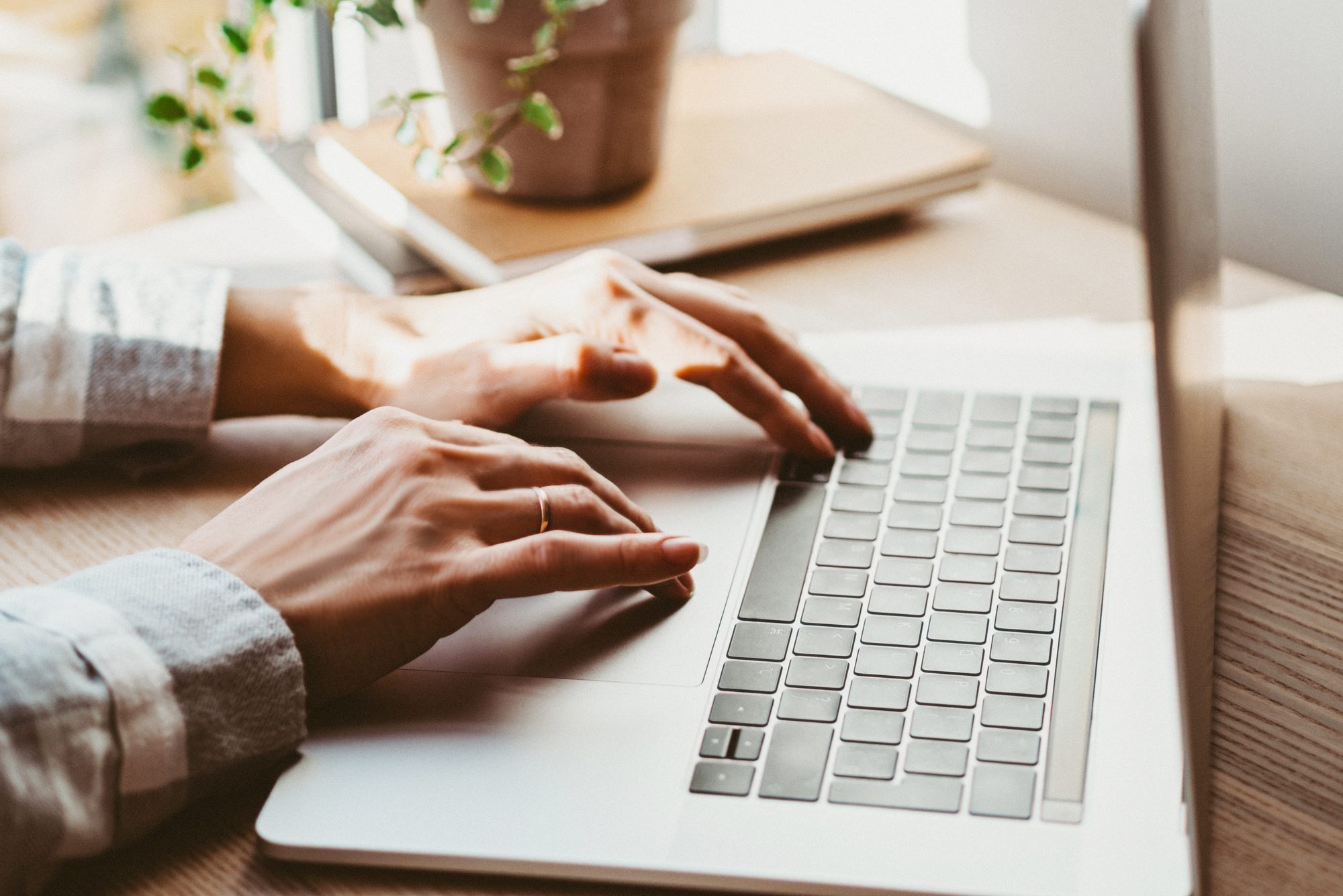 Hands typing on a laptop keyboard; positioned near a window with natural light and a small plant on the desk.