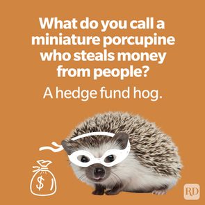 Hedgehog wearing a mask stands next to a money bag drawing on an orange background with the text, 