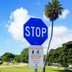 Here's What It Means If You See a Blue Stop Sign