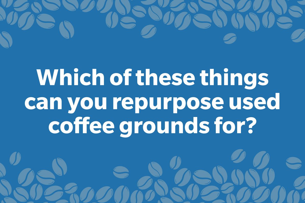Coffee Trivia Question on a frame of coffee beans graphic dark blue