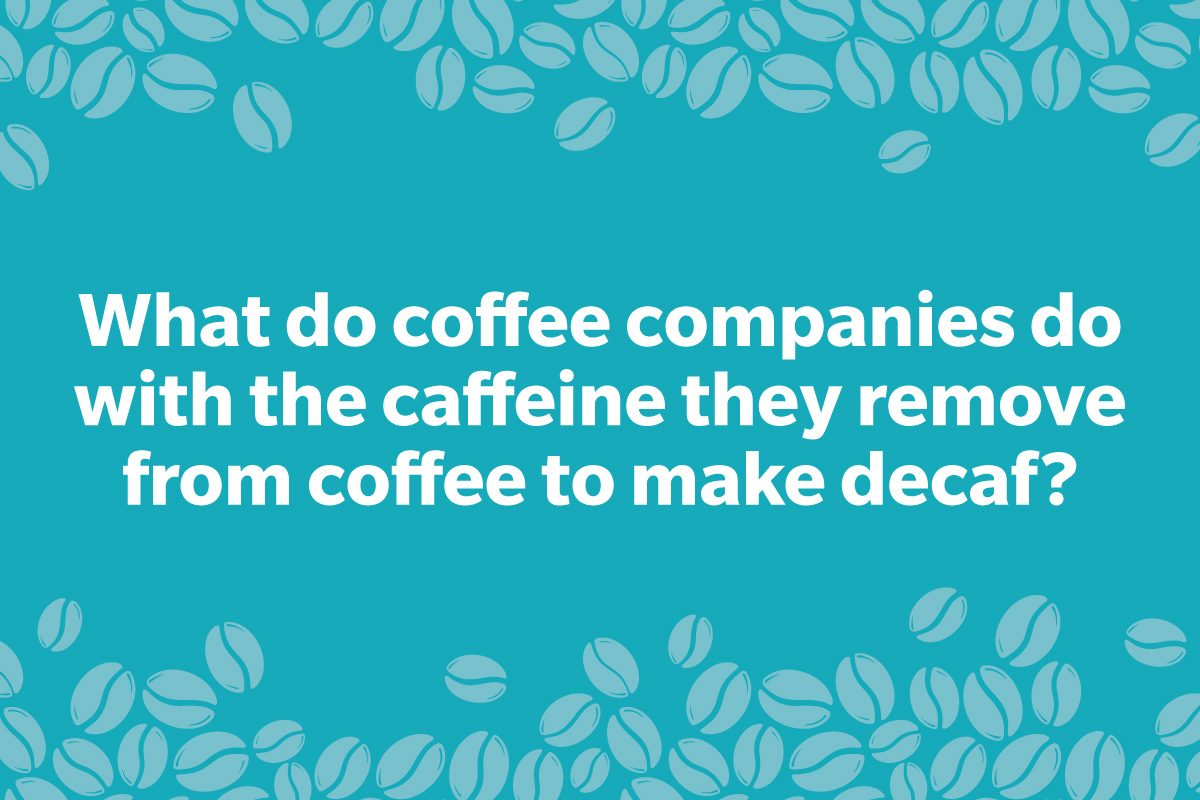 Coffee Trivia Question on a frame of coffee beans graphic blue
