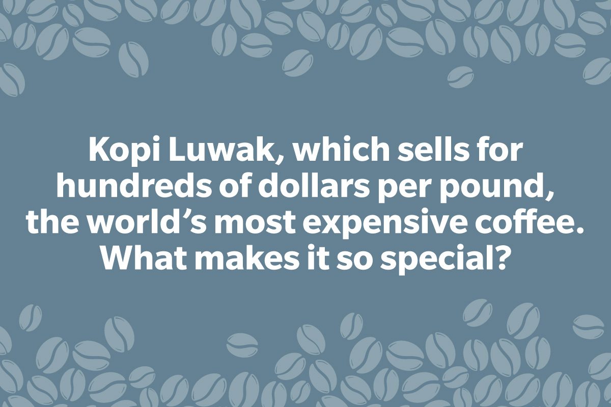 Coffee Trivia Question on a frame of coffee beans graphic
