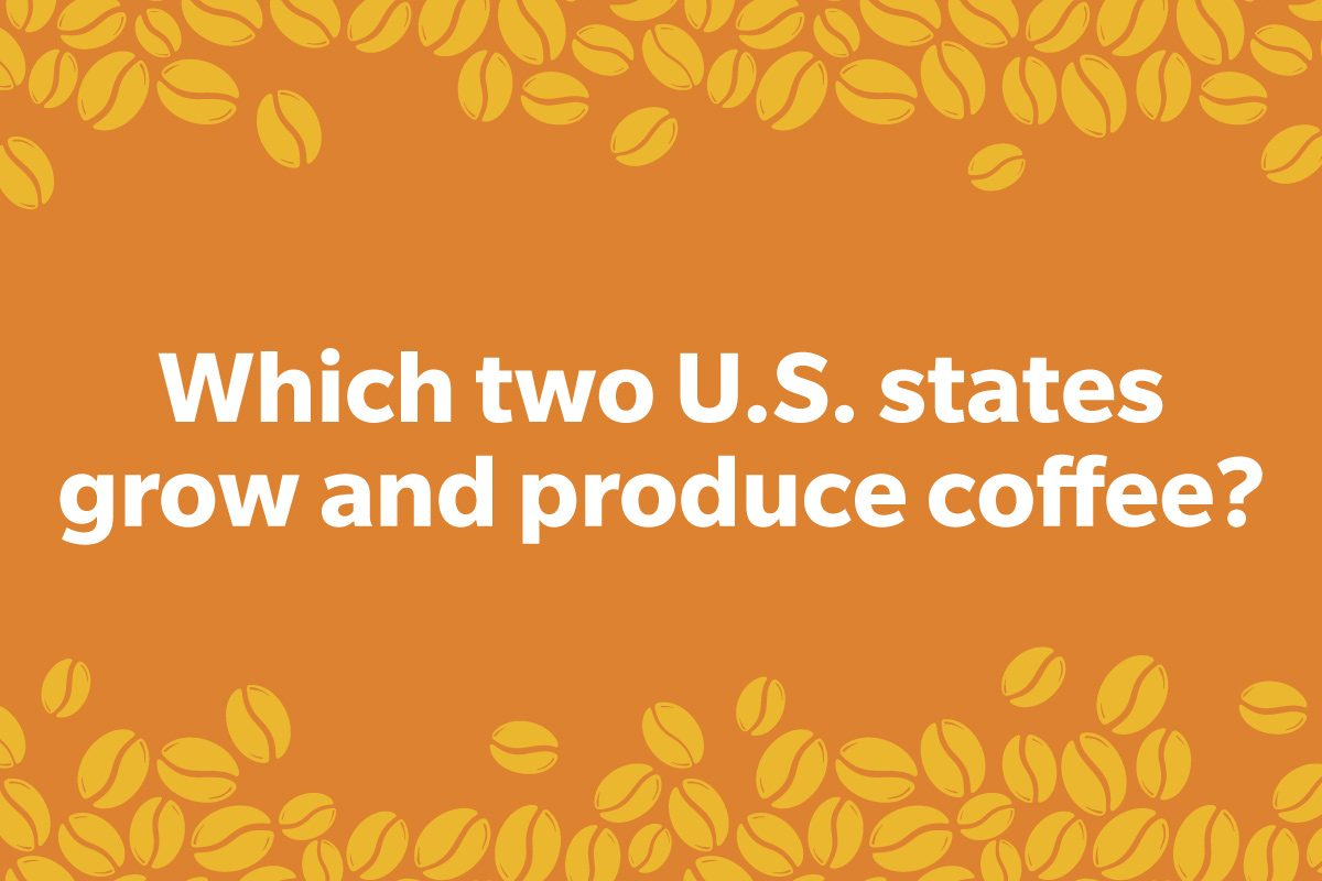 Coffee Trivia Question on a frame of coffee beans graphic