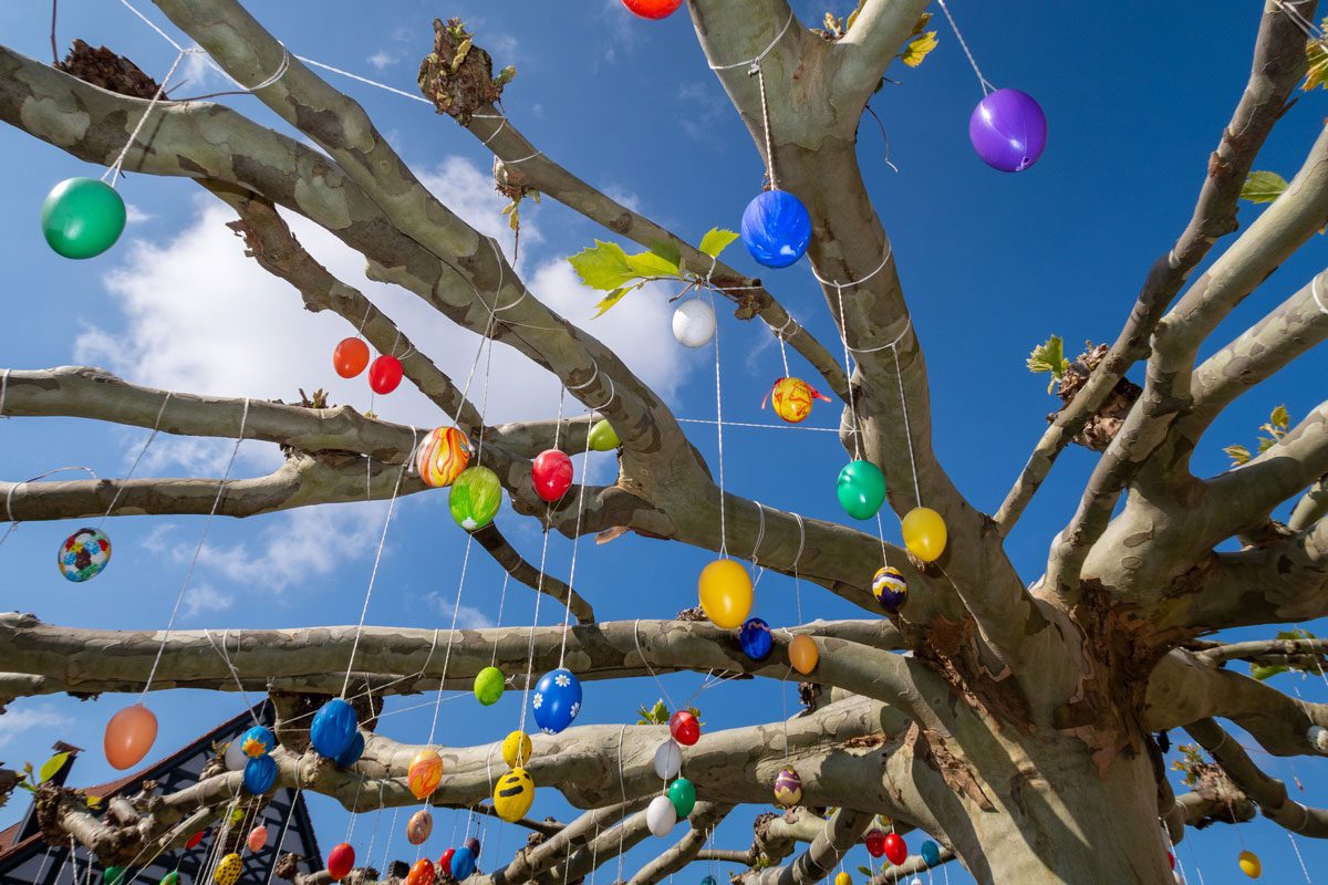 easter eggs on a tree