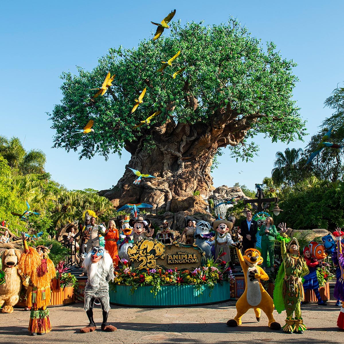 The Tree of Life at Disney's Animal Kingdom with a parade/performance in front of it