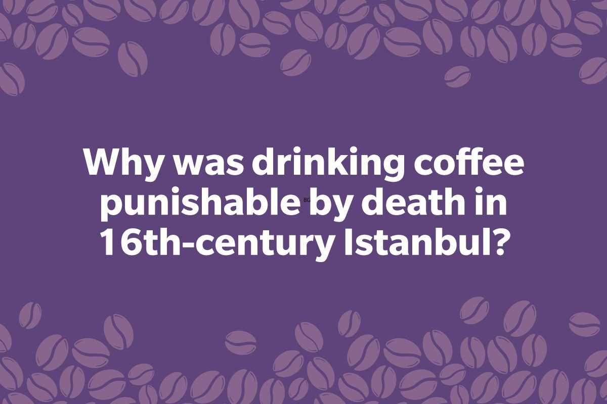 Coffee Trivia Questions