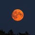 Here's Why the Moon Turns Red—And When It Will Happen Next