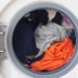 Here's How Long It's OK to Leave Wet Clothes in the Washing Machine Before You Have to Rewash Them