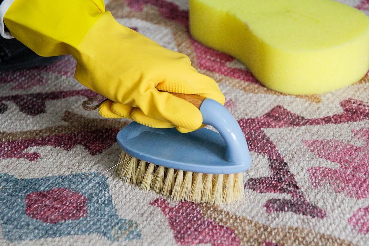 Rug cleaning 