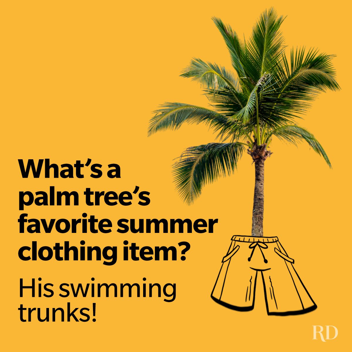 85 Summer Jokes That Will Turn Up The Heat And Hilarity Ft