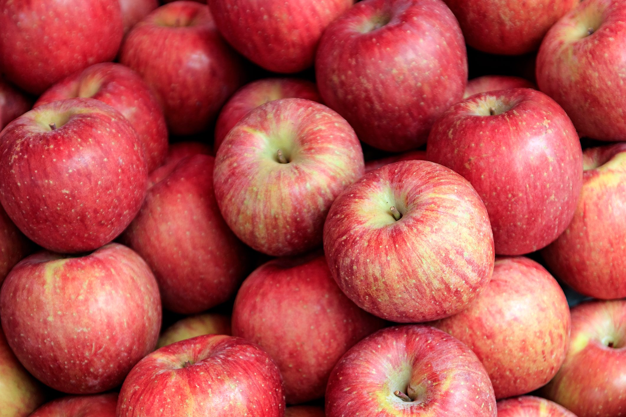 Apples