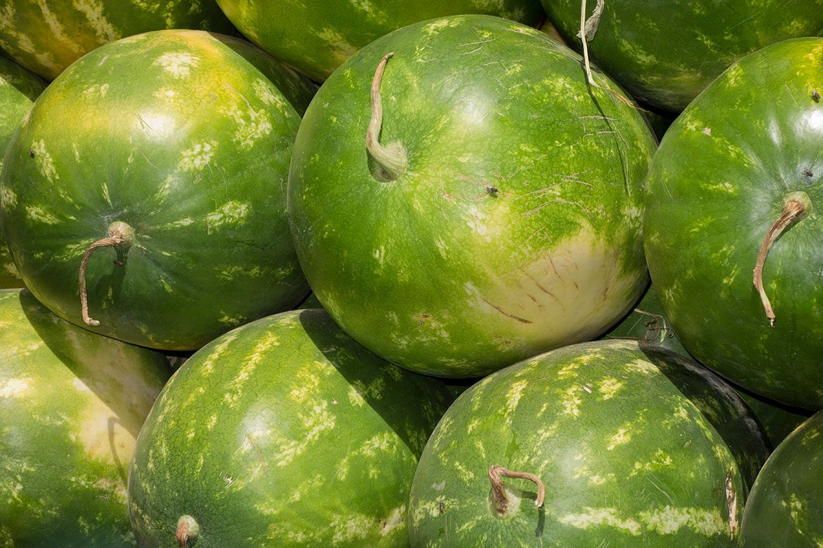 Watermelon stacked
